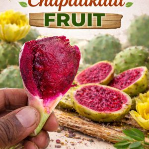 chapatikalli-fruit