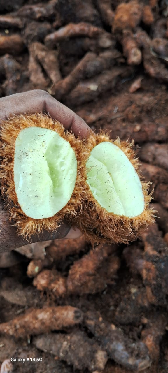 Athalakkai - Image 2